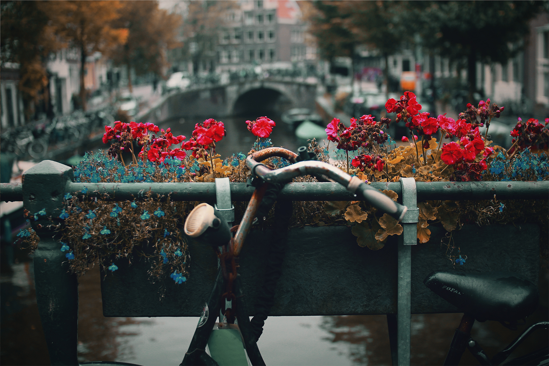 amsterdam-patricia-kaas