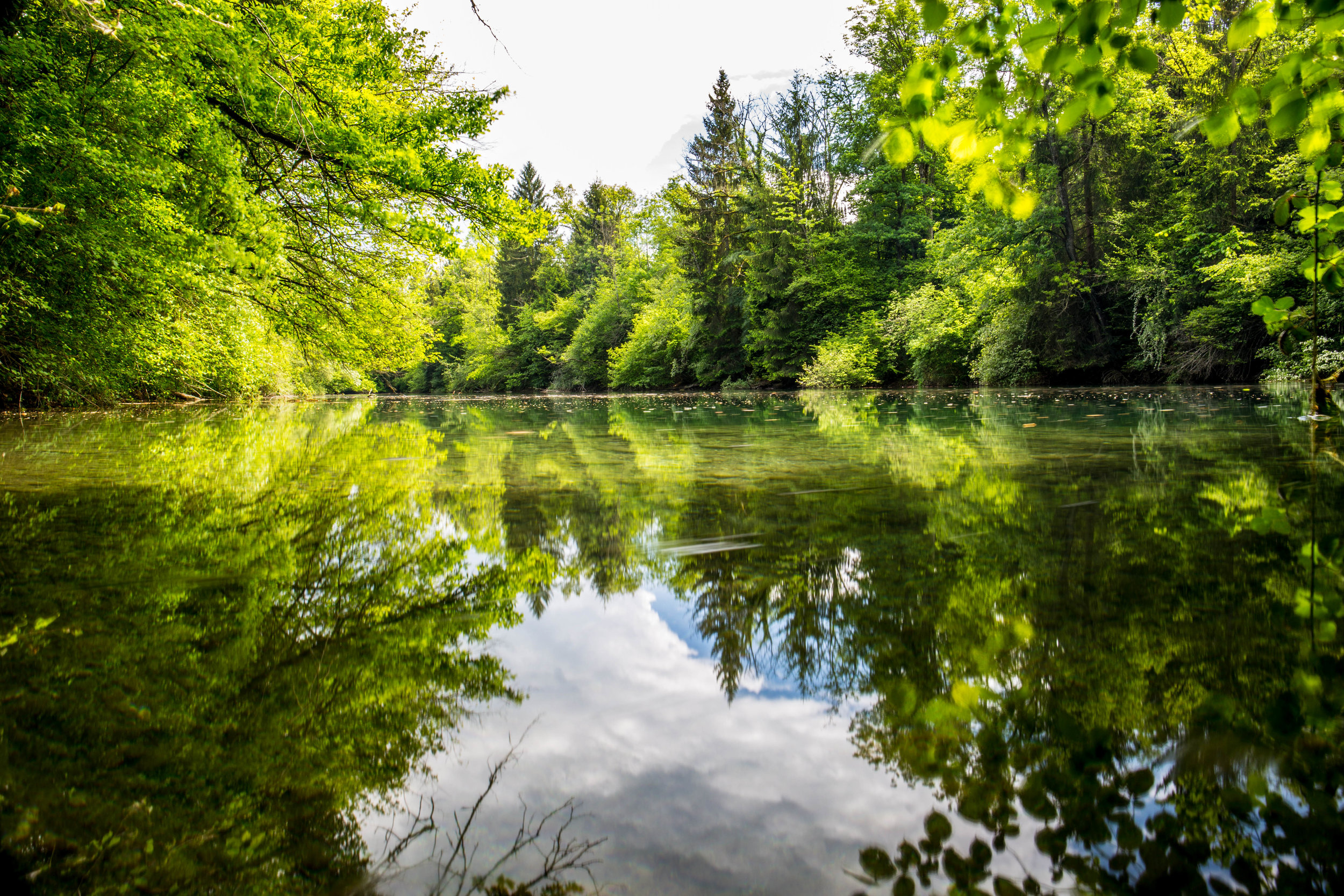 dans-l-eau-de-la-claire-fontaine-georges-brassens