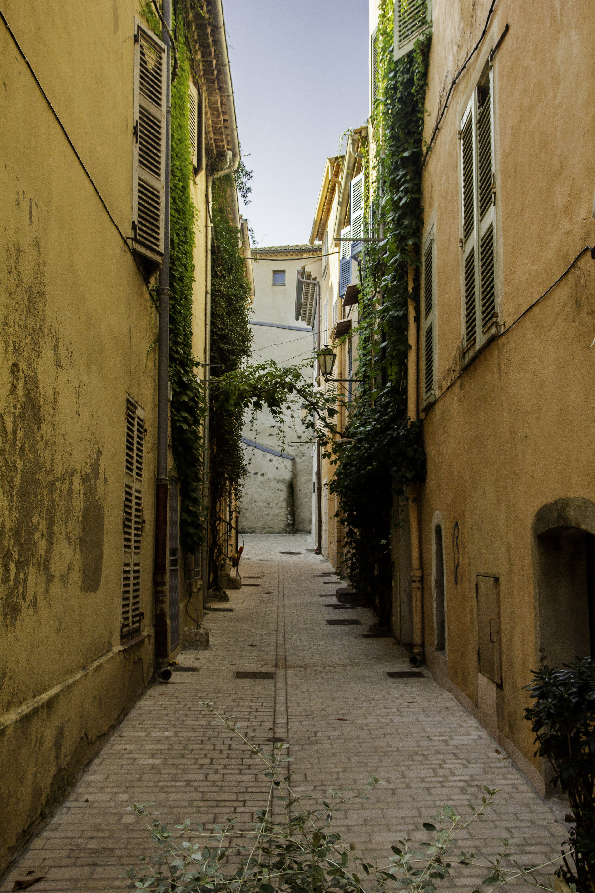 dans-ma-rue-edith-piaf