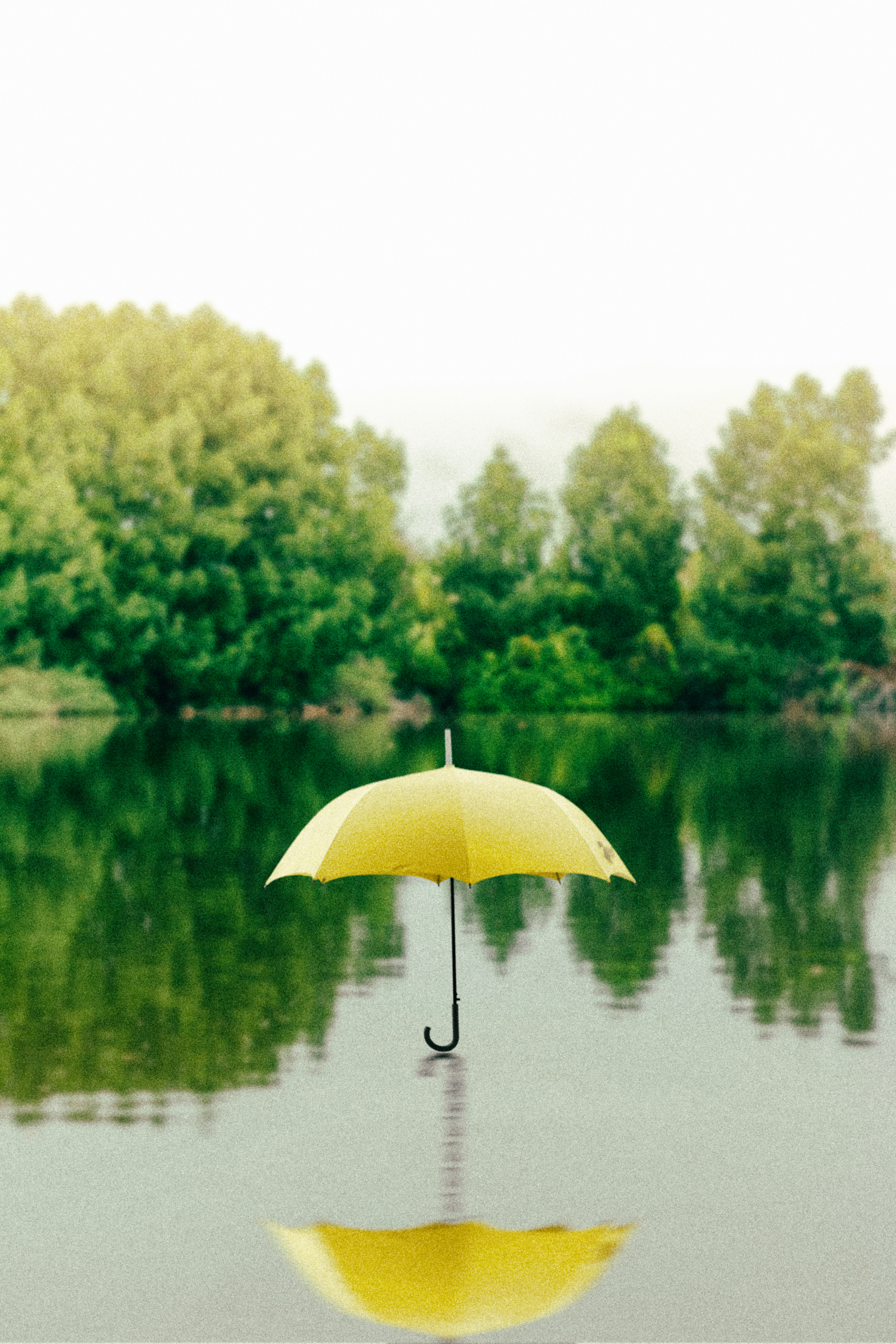 le-parapluie-georges-brassens