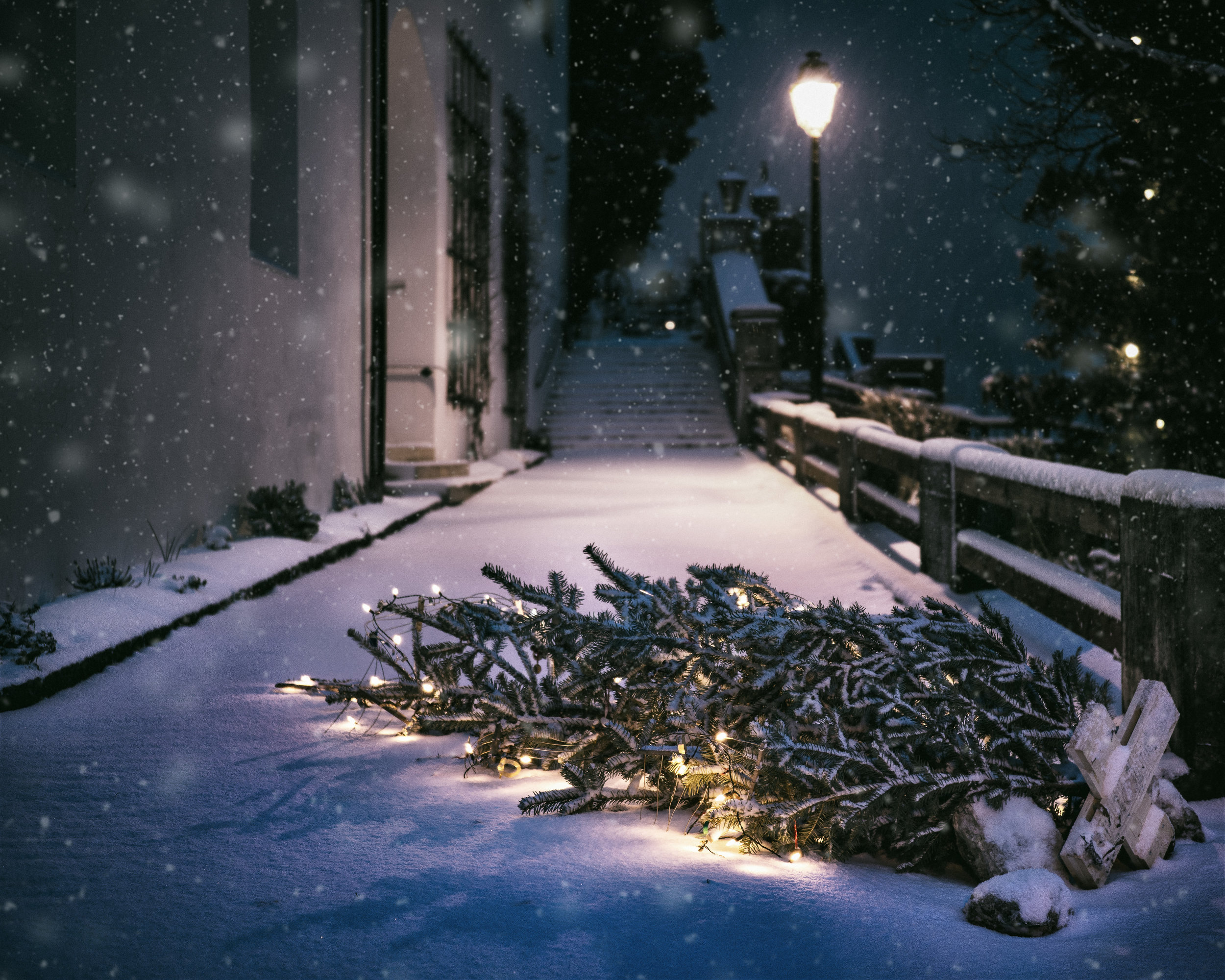 tellement-froid-claire-vezina
